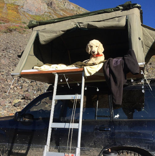 Why 'Squatchy Adventures' is Overland Crazy and You Should Be Too