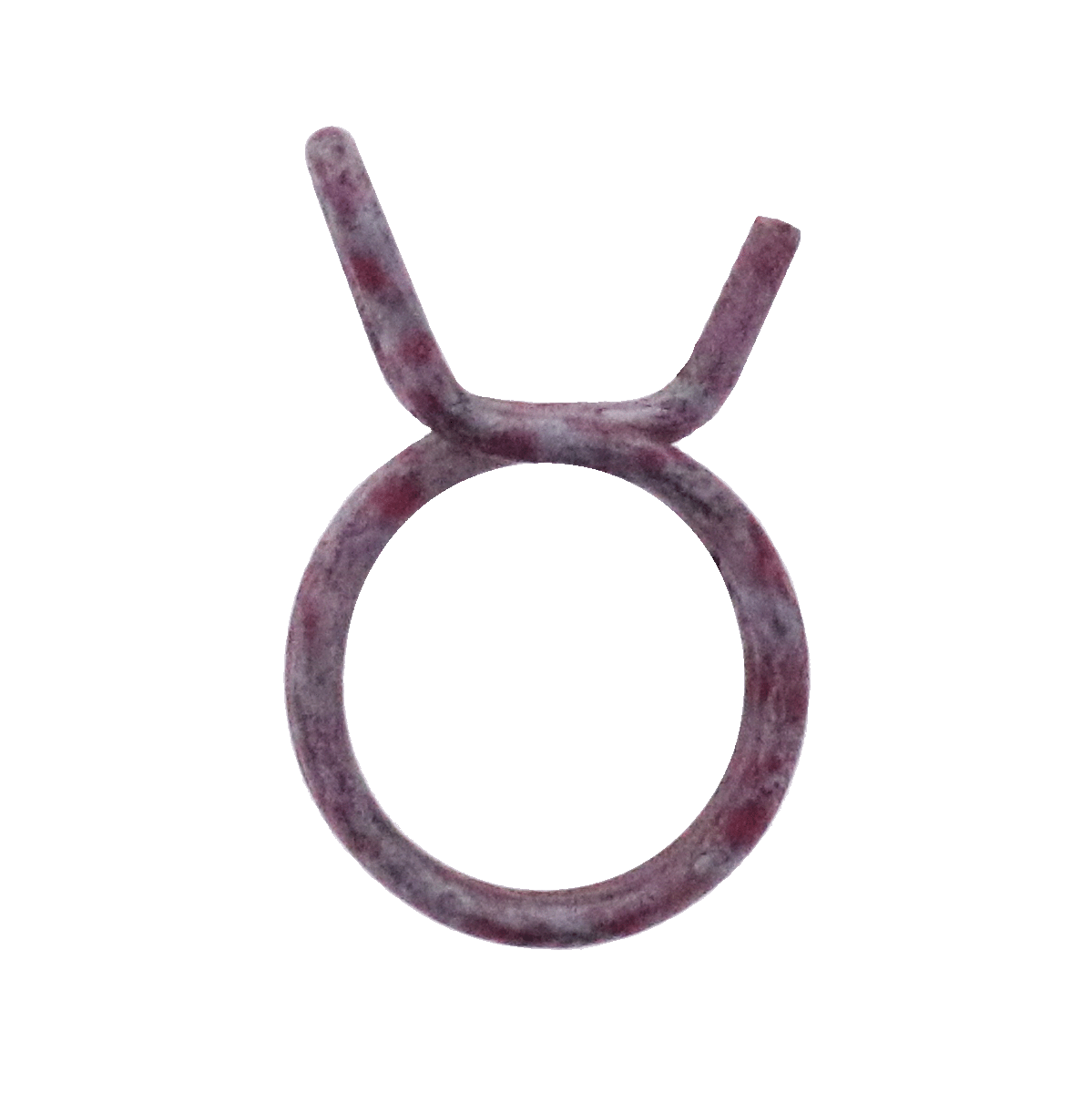 Double spring hose clamp