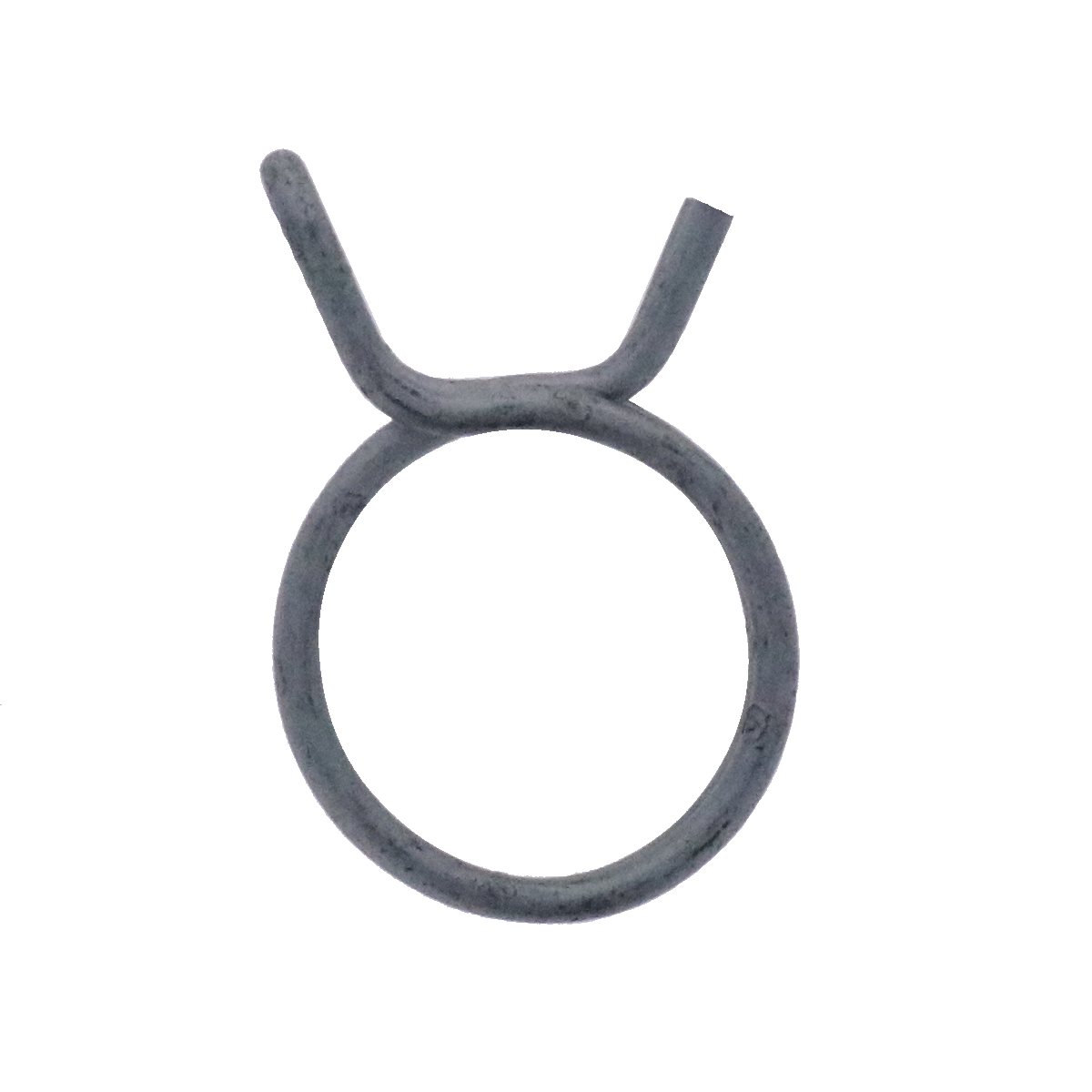 Double spring hose clamp