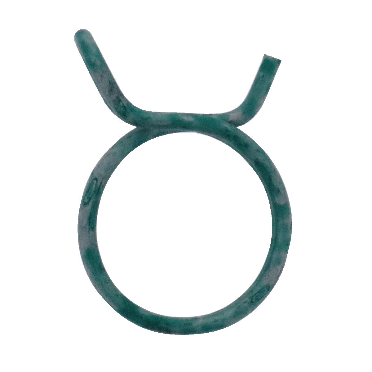 Double spring hose clamp